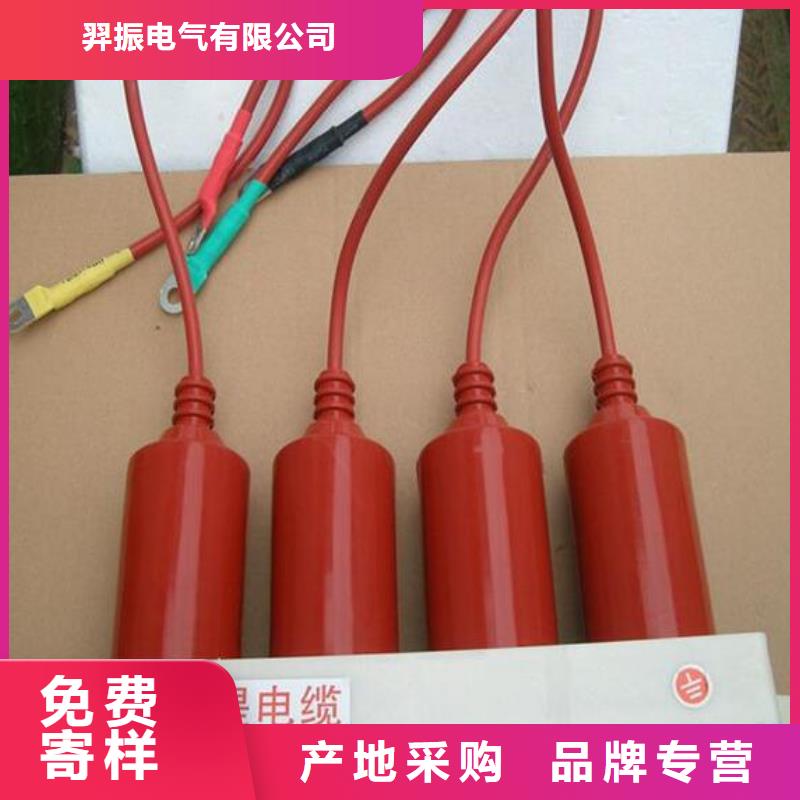 过电压保护器真空断路器应用范围广泛-可发货到张店|桓台|济宁|枣庄|潍坊|济南|德州