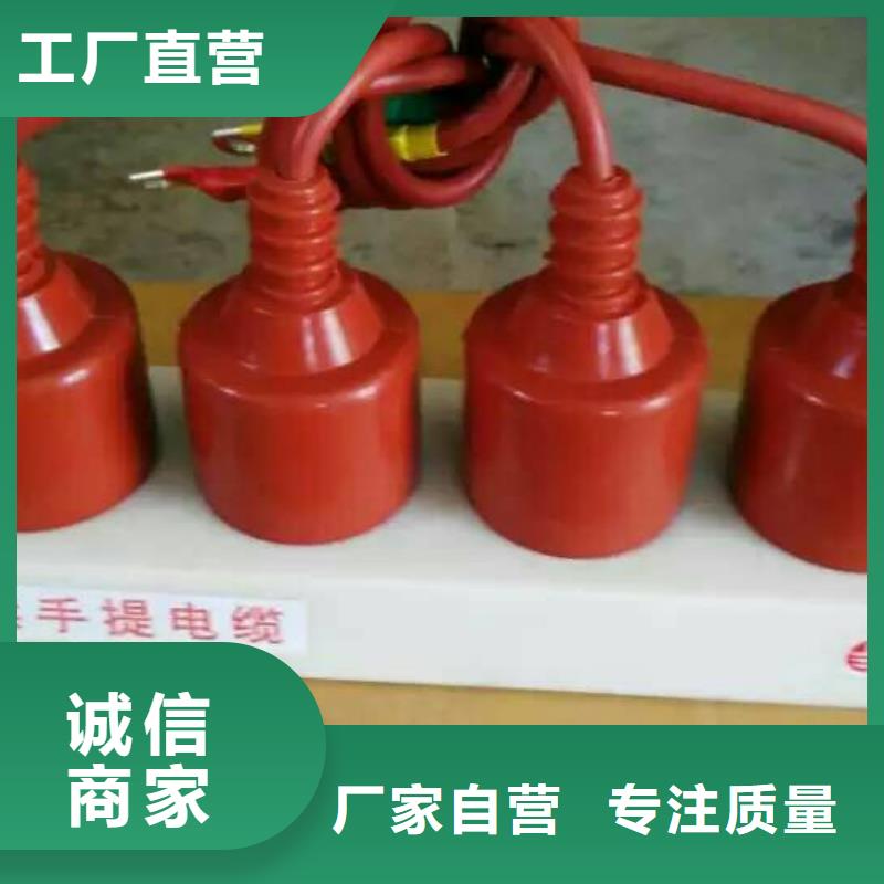 羿振跌落式熔断器过电压保护器真空断路器应用范围广泛qy55.com
