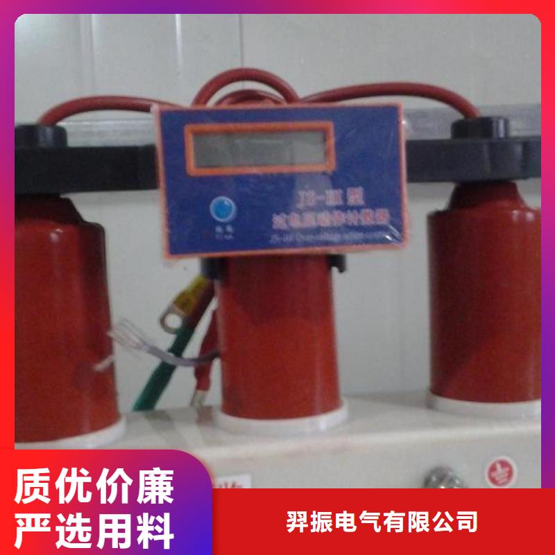 羿振过电压保护器绝缘子厂家细节严格凸显品质-企业旺旺