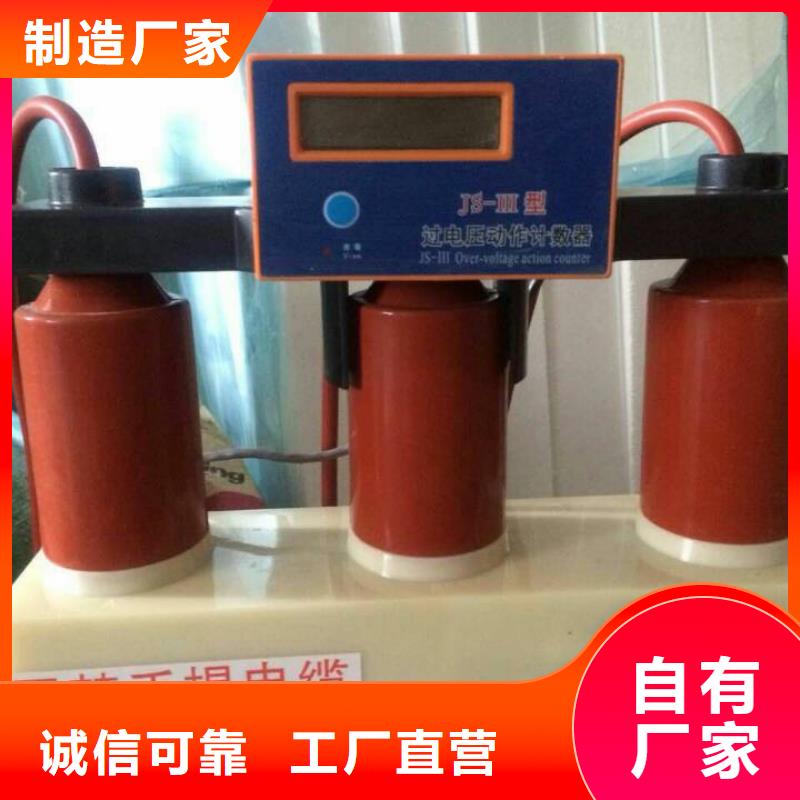 过电压保护器绝缘子厂家细节严格凸显品质