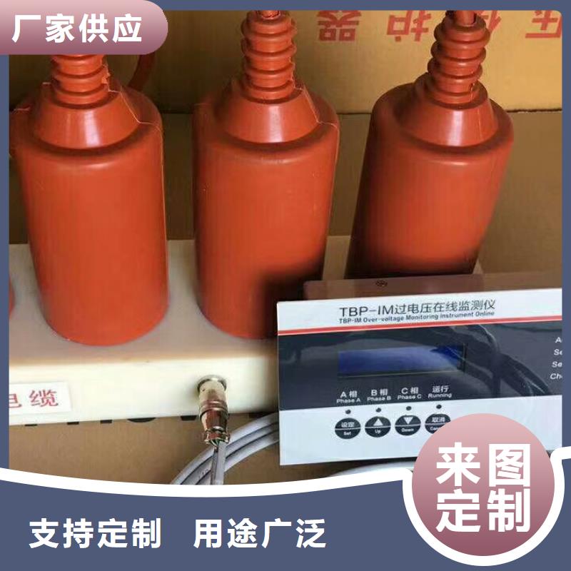 〖过电压保护器〗TBP-C-42/310欢迎来电