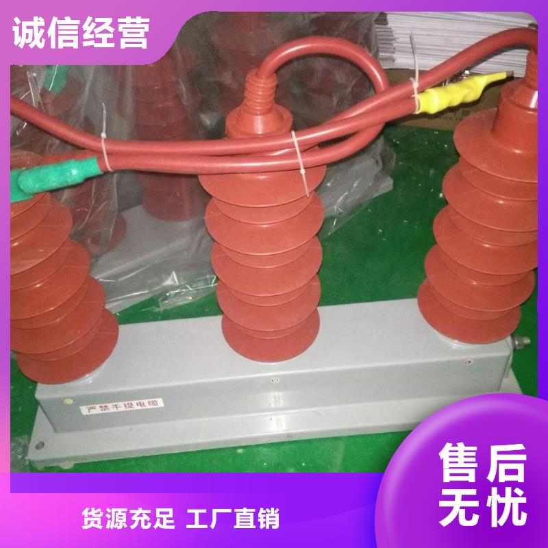 〖过电压保护器〗TBP-B-42/280值得信赖