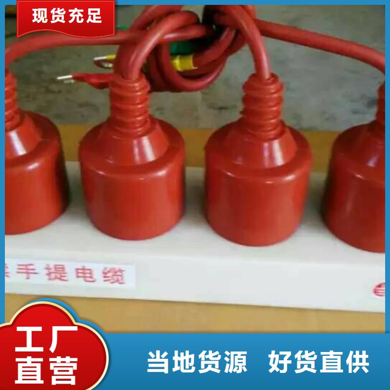 过电压保护器(组合式避雷器)TBP-A-12.7/85-J