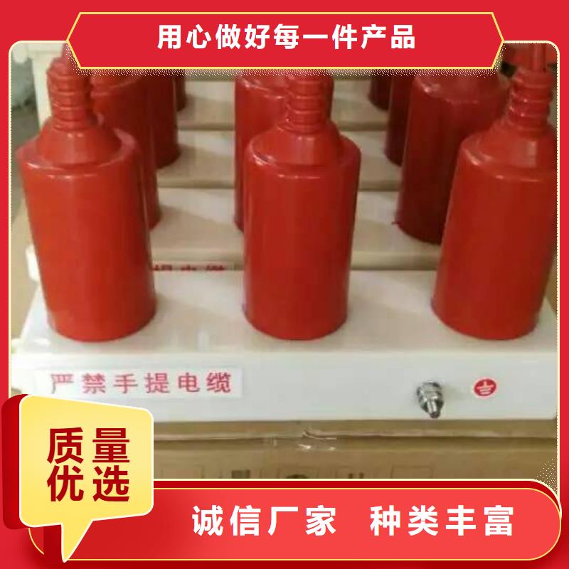 过电压保护器BSTG-B-7.2-J