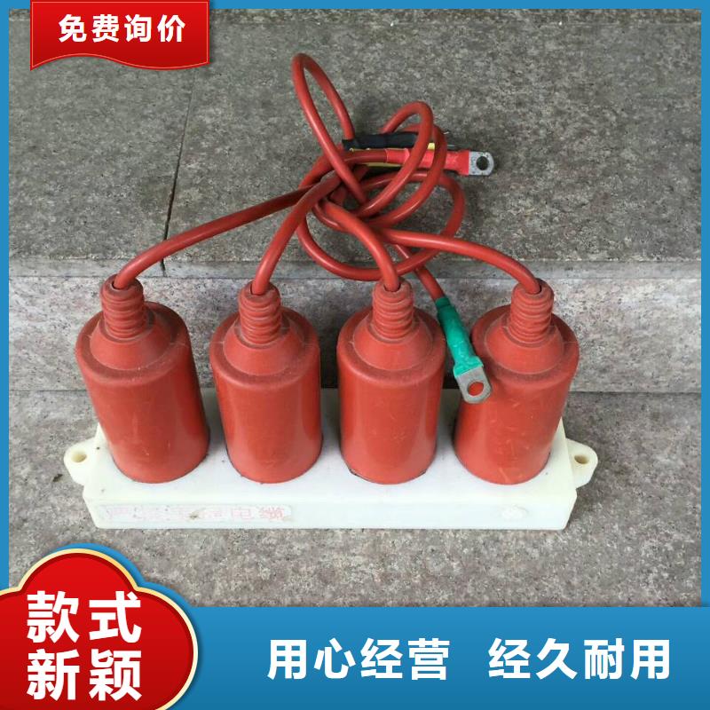 过电压保护器 【断路器厂家】每一处都是匠心制作由羿振为您