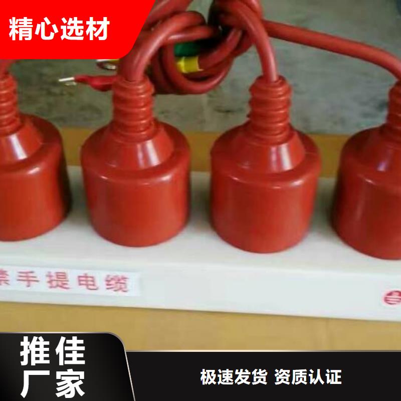 过电压保护器真空断路器应用范围广泛覆盖范围含|周村|淄川|日照|菏泽|滨州|青岛
