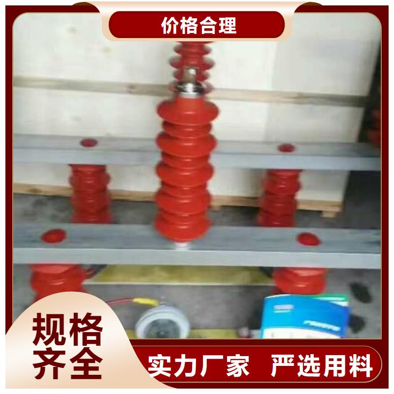 甄选:大库存无缺货危机过电压保护器绝缘子厂家细节严格凸显品质-羿振电气有限公司