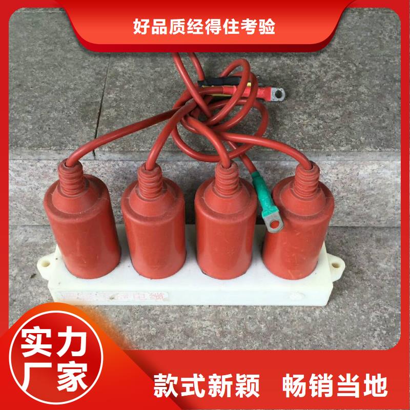 保护器(组合式避雷器)TBP-A-12.7/131-J