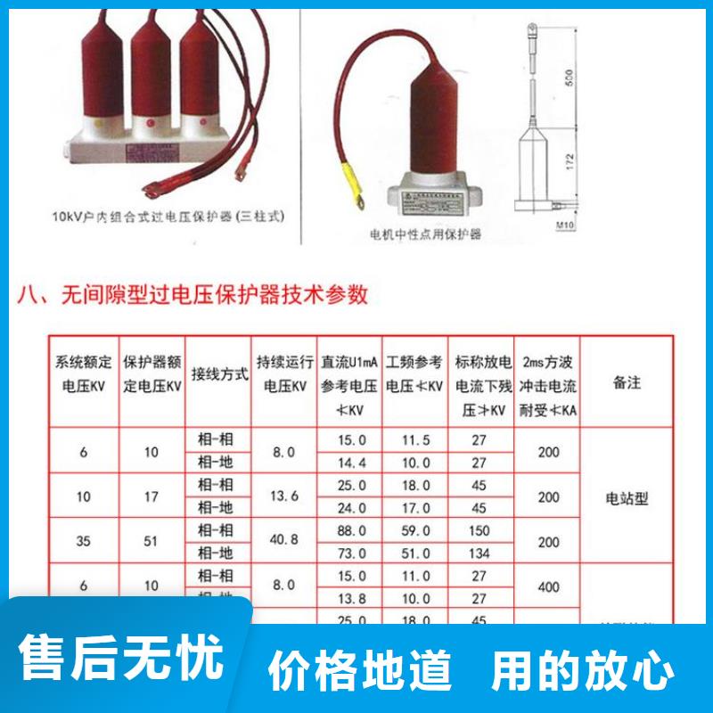 过电压保护器BSTG-A-12.7F/85