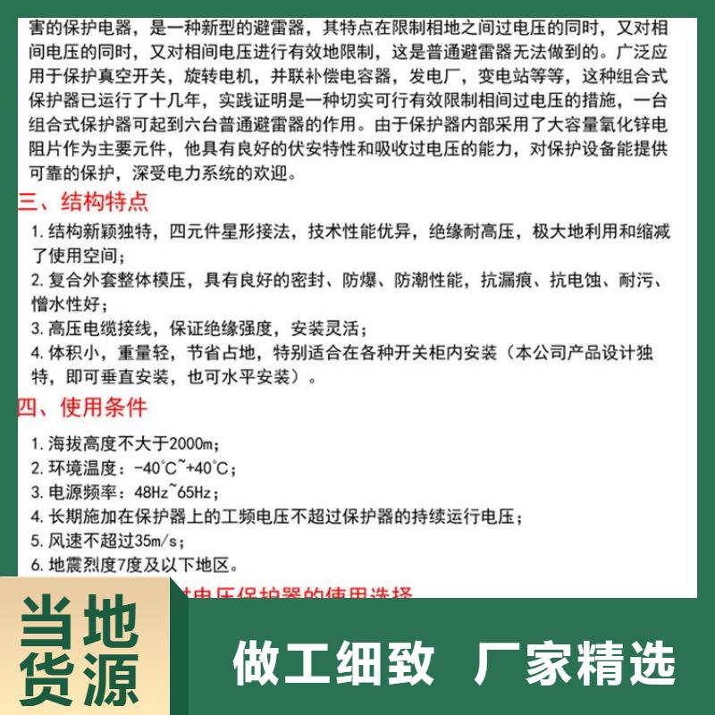 保护器(组合式避雷器)YH5CZ-42/124*42/124