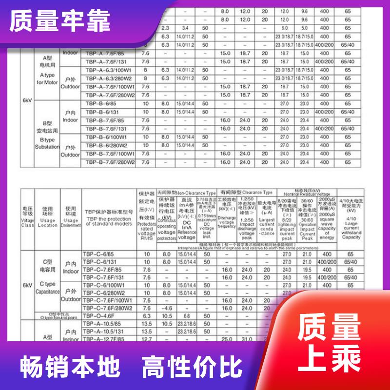 过电压保护器TBP-C-12.7/85-J