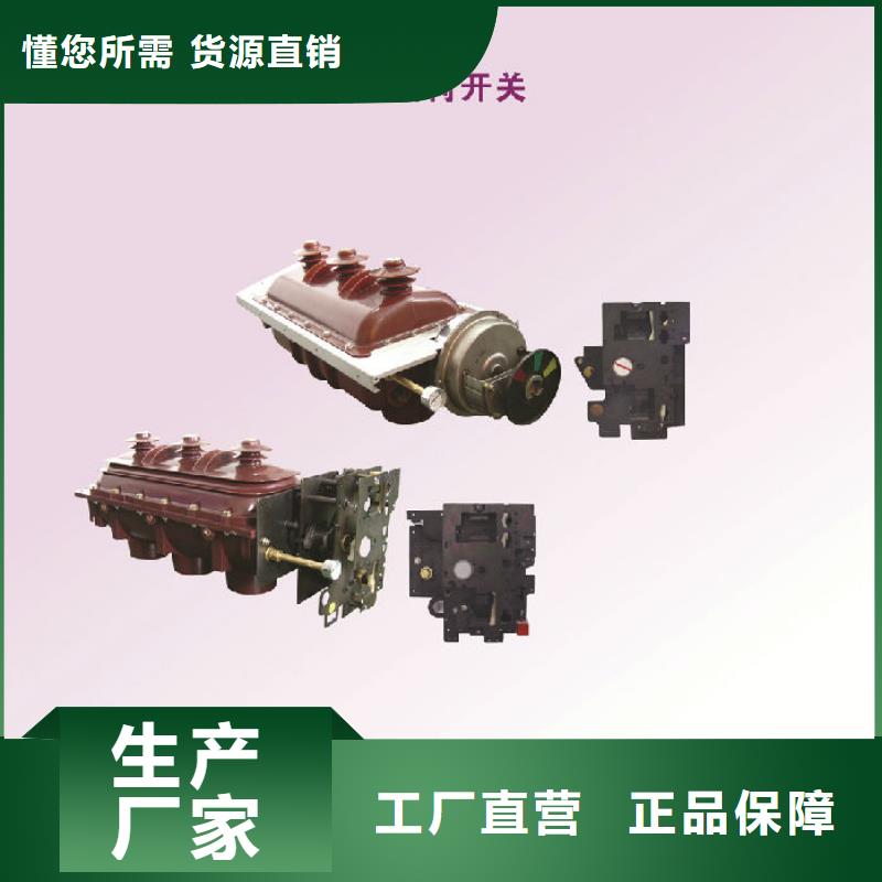 户内高压负荷开关FZRN21A-12/125-31.5