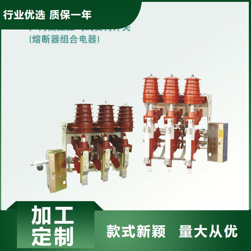 高压负荷开关ZFN23-10D/125-31.5-浙江羿振电气有限公司