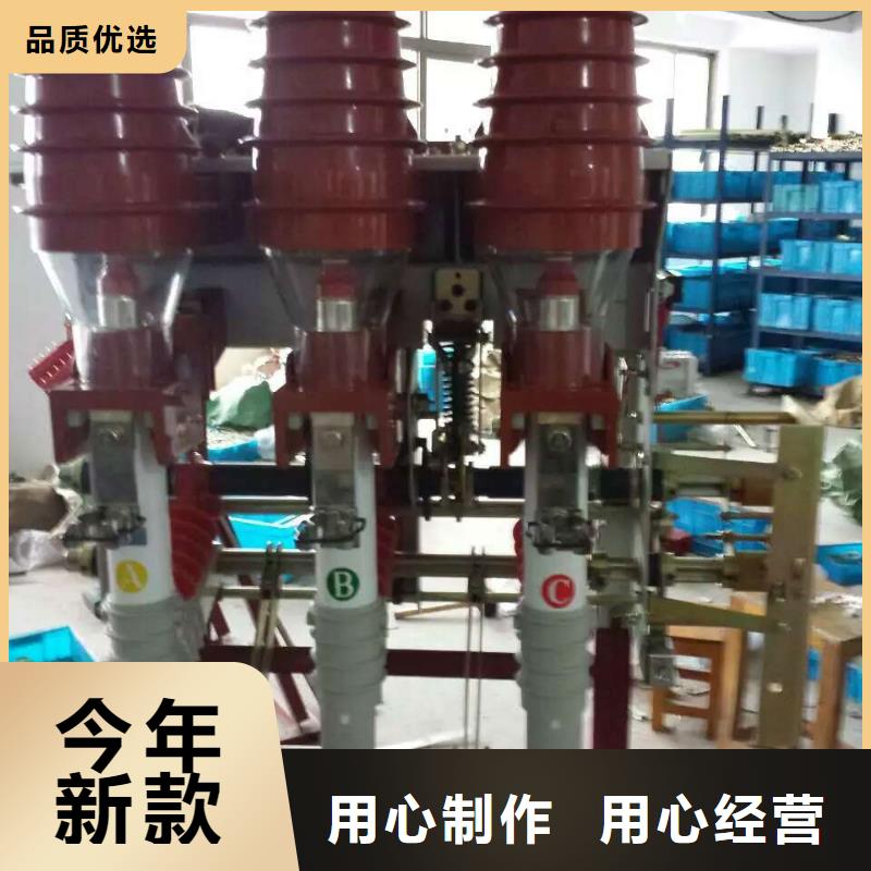 儋州市_羿振電氣高壓負荷開關FZN16A-12/T400