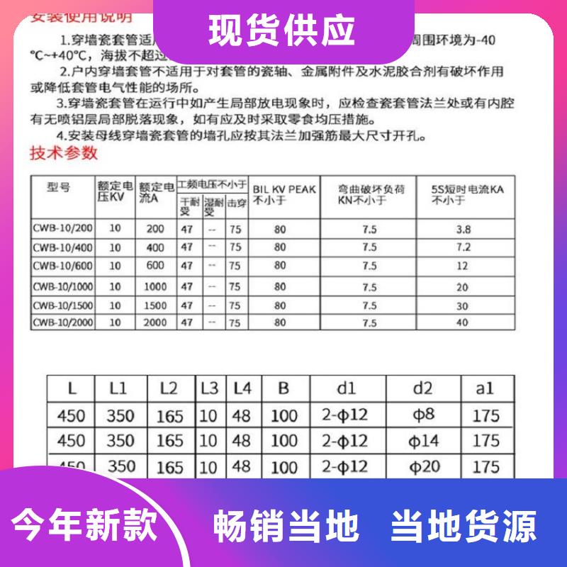 【羿振电气】AC10KV交流穿墙套管.陶瓷3150A无CT铜