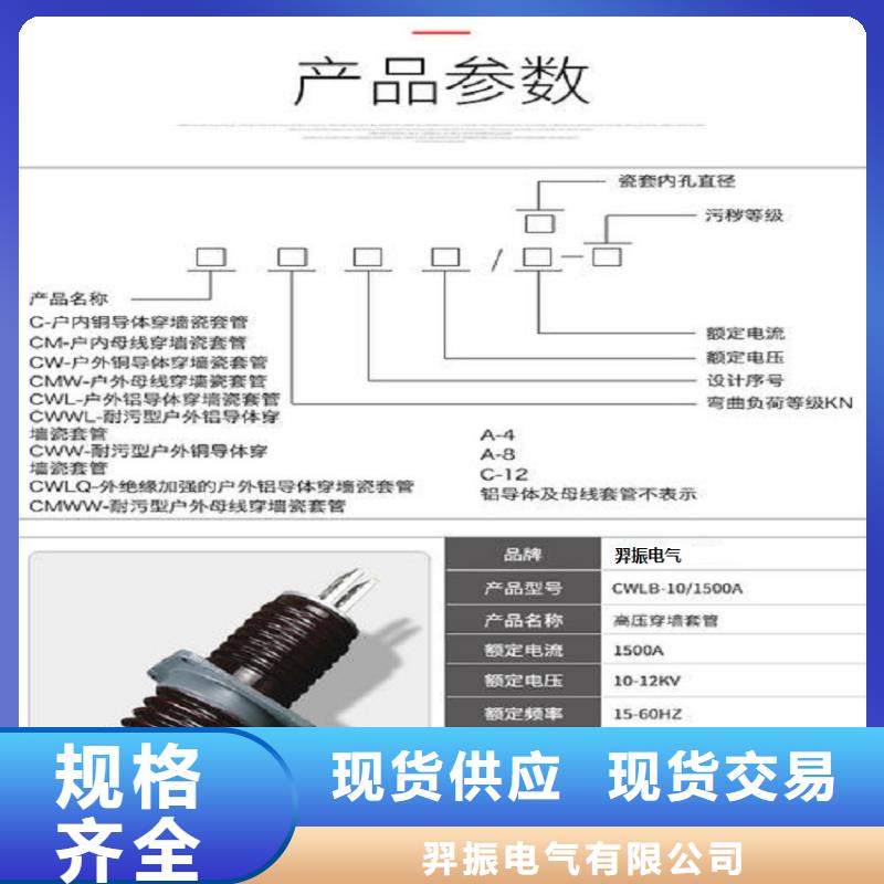 【穿墙套管】CWWL-10KV/1600A-4