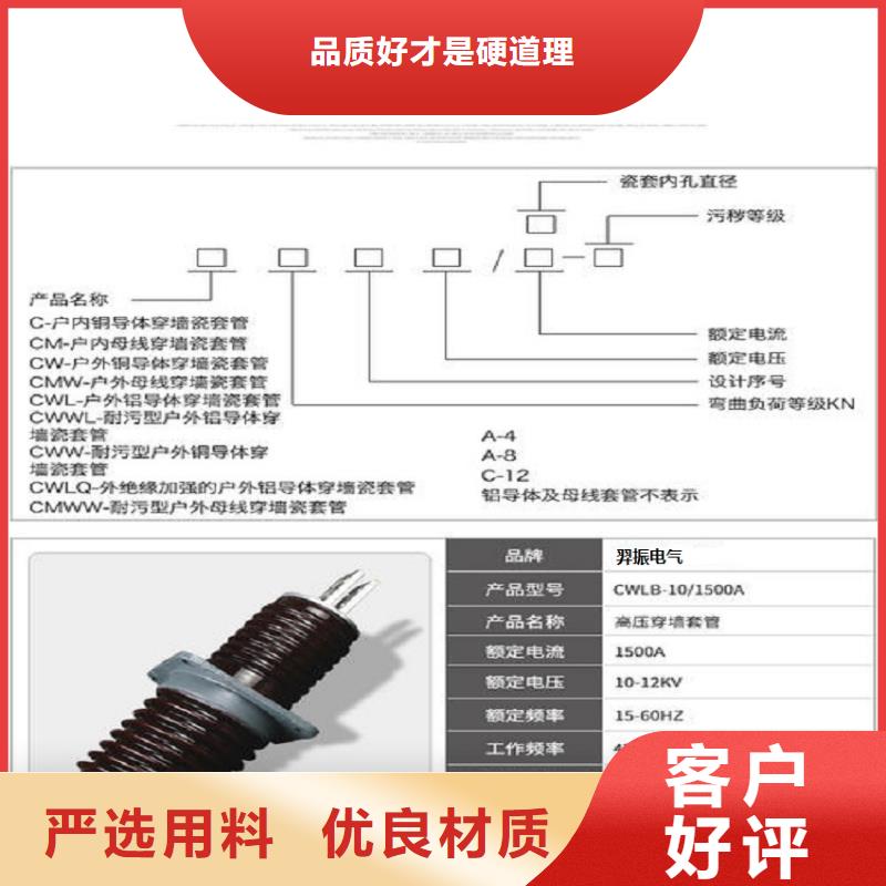 〖高压穿墙套管〗CWW-24/2500推荐厂家