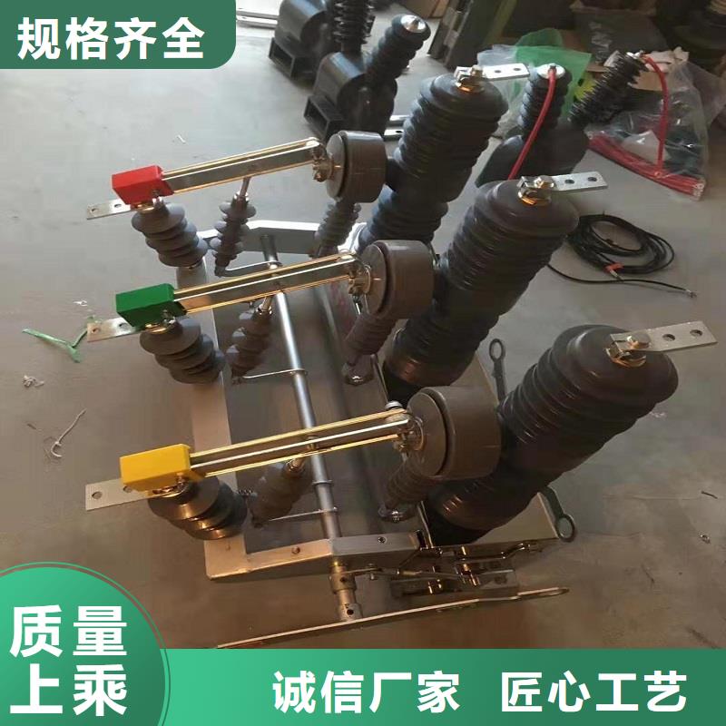 【断路器】柱上开关ZW32-12F/T630-20