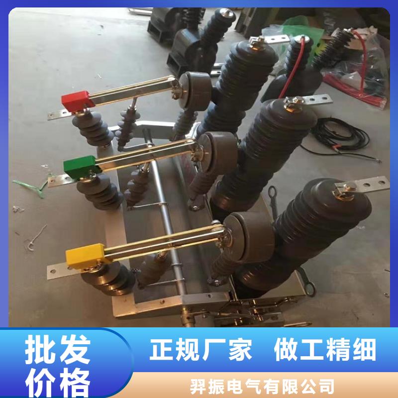|犍为|夹江|南充|绵阳|德阳|雅安|泸州羿振ZW32真空断路器【隔离开关厂家】高品质现货销售