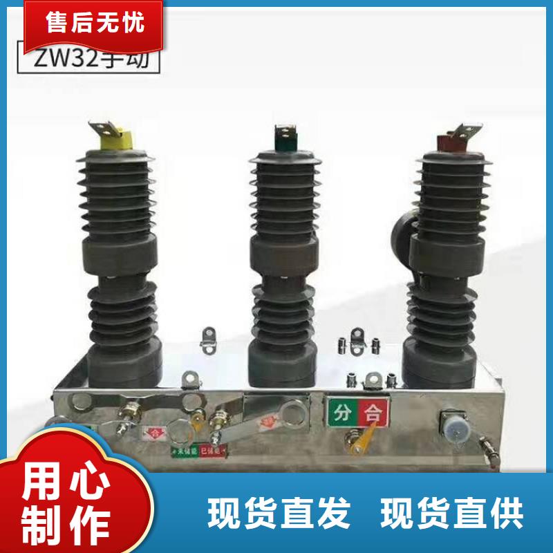 ZW39户外柱上真空断路器/户外高压真空断路器/ZW32-12/630-20