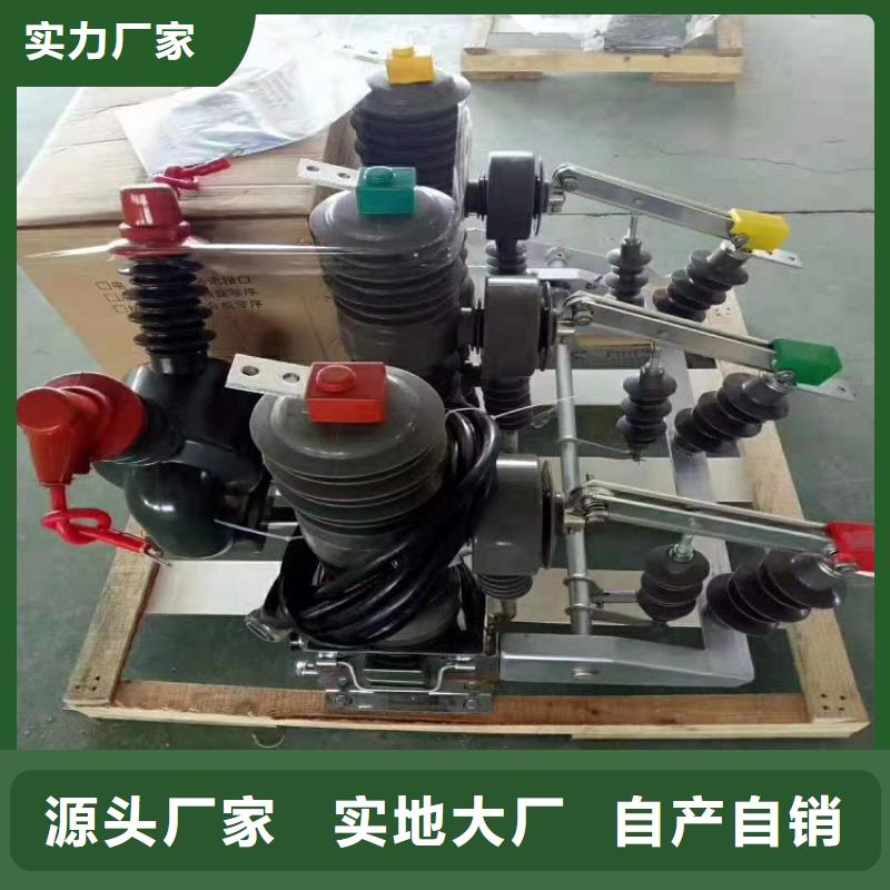 品牌【羿振电气】ZW32-12/630-20柱上真空断路器