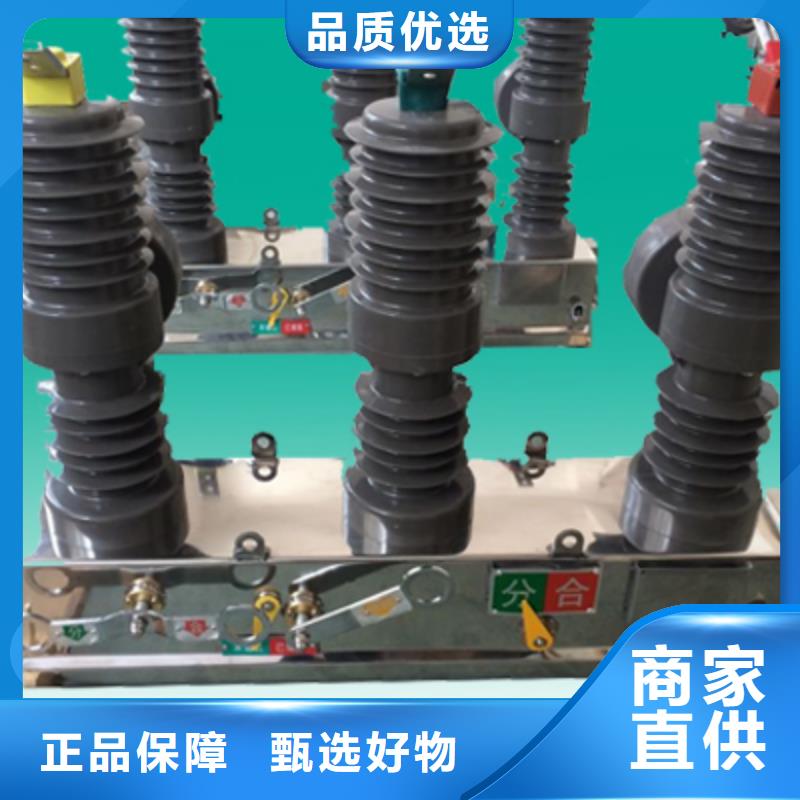 ZW39户外柱上真空断路器/户外高压真空断路器/ZW32-12/630-20
