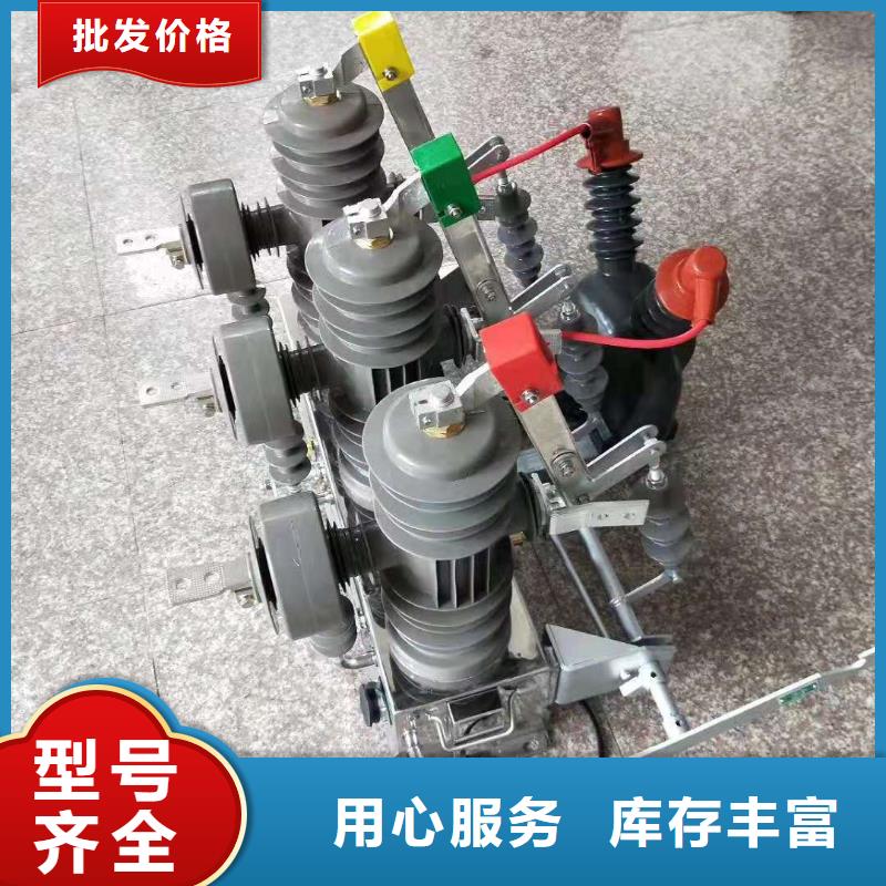 品牌【羿振电气】ZW32-12/630-20柱上真空断路器