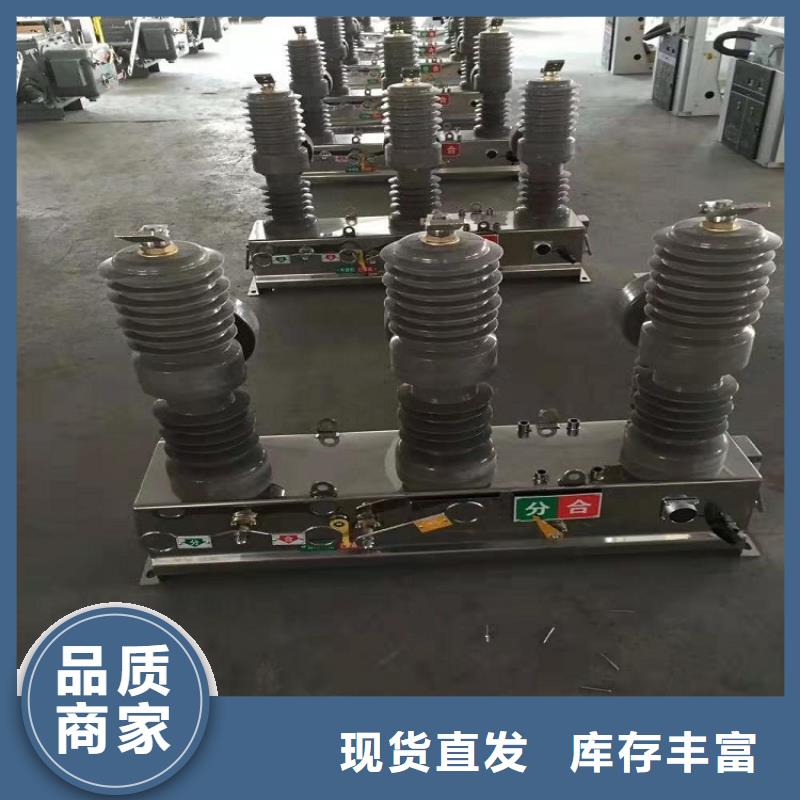 ZW39户外柱上真空断路器/户外高压真空断路器/ZW32-12/630-20