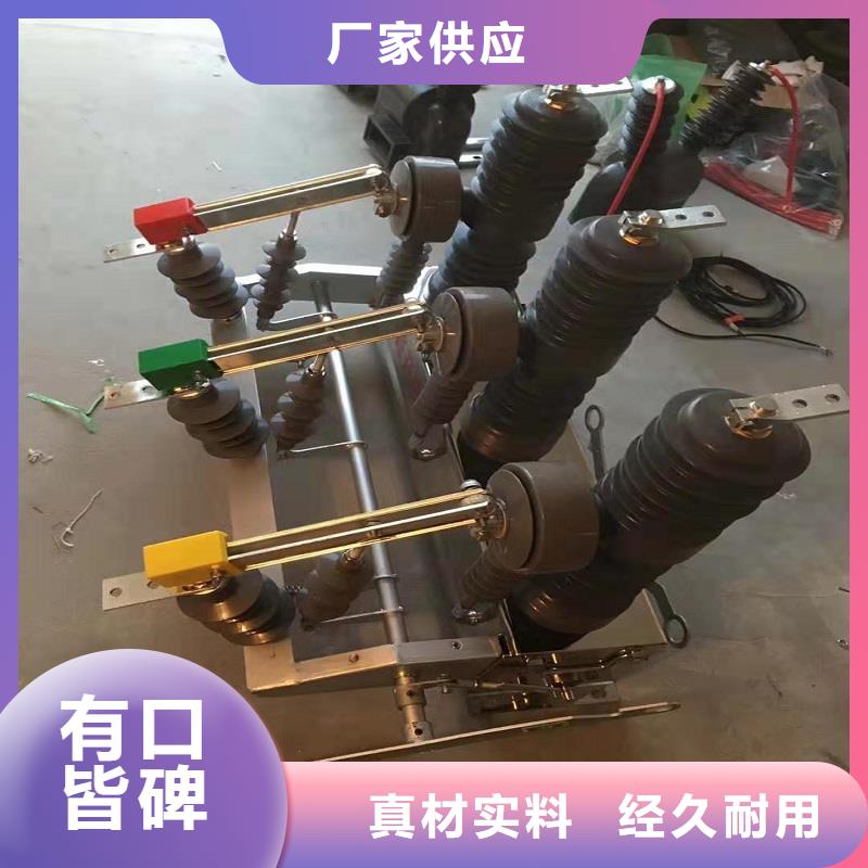【断路器】柱上开关ZW32-12F/T630-20