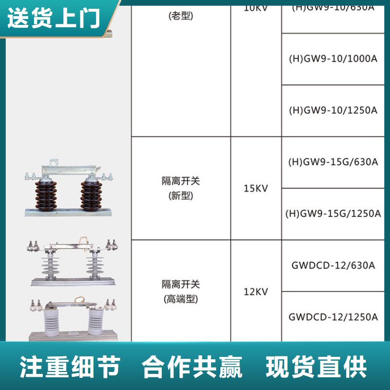 【隔离刀闸】HGW9-35/1250