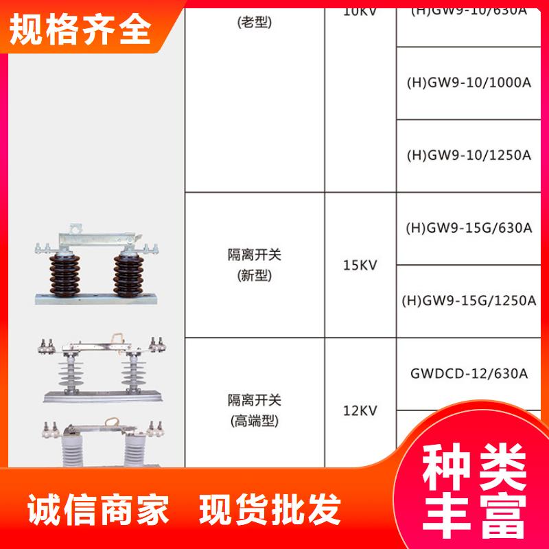 隔離開關GW9-12G/200A