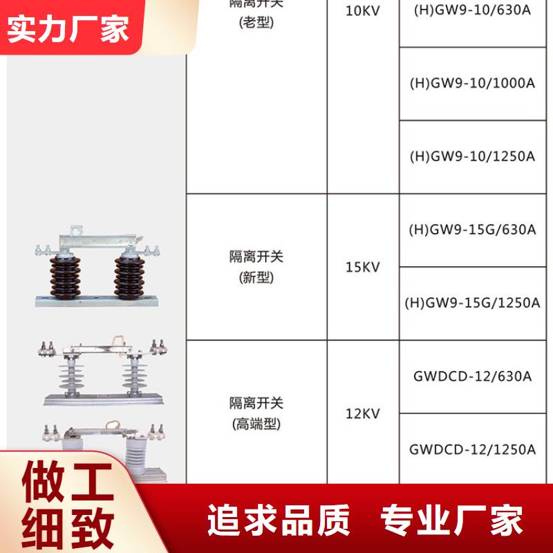 【羿振電氣】高壓隔離開關GW9-12G/400A