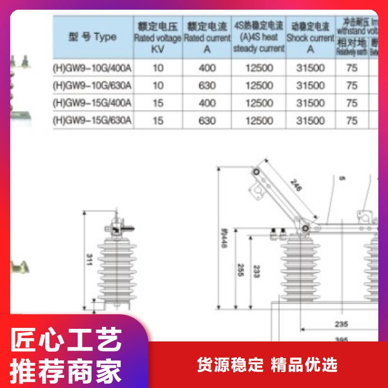 【羿振电气】高压隔离开关*GW9-10W/1000实力厂家
