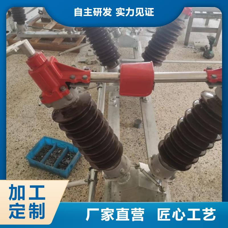 户外高压隔离开关HGW1-10KV/630A