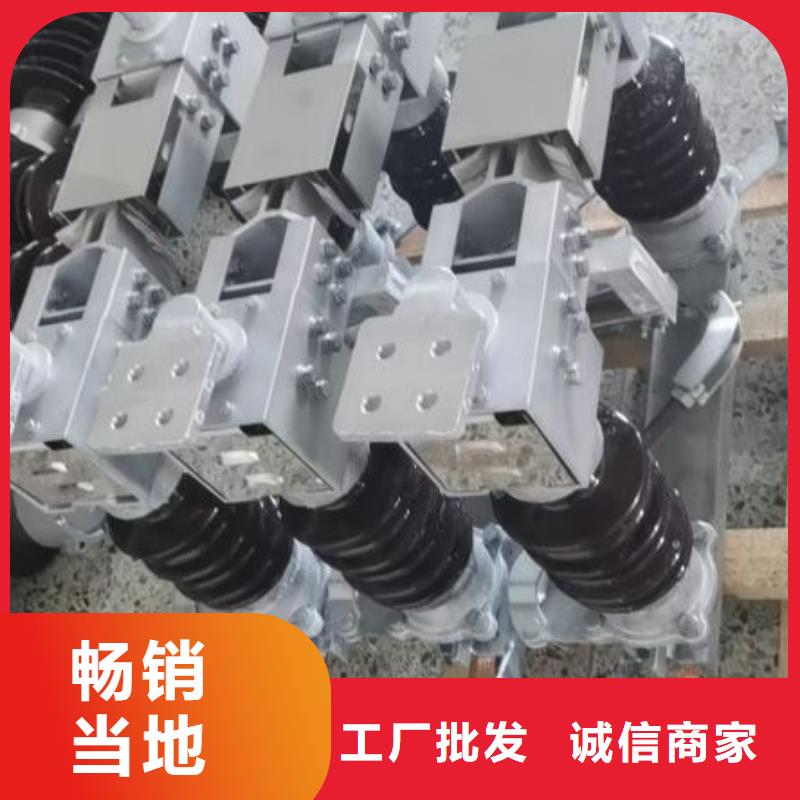 隔离开关HGW4-220/1250A.