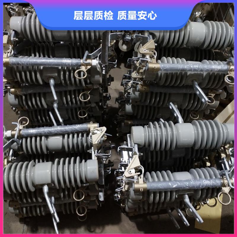 【高压熔断器】RW12-15KV/100A浙江羿振电气有限公司