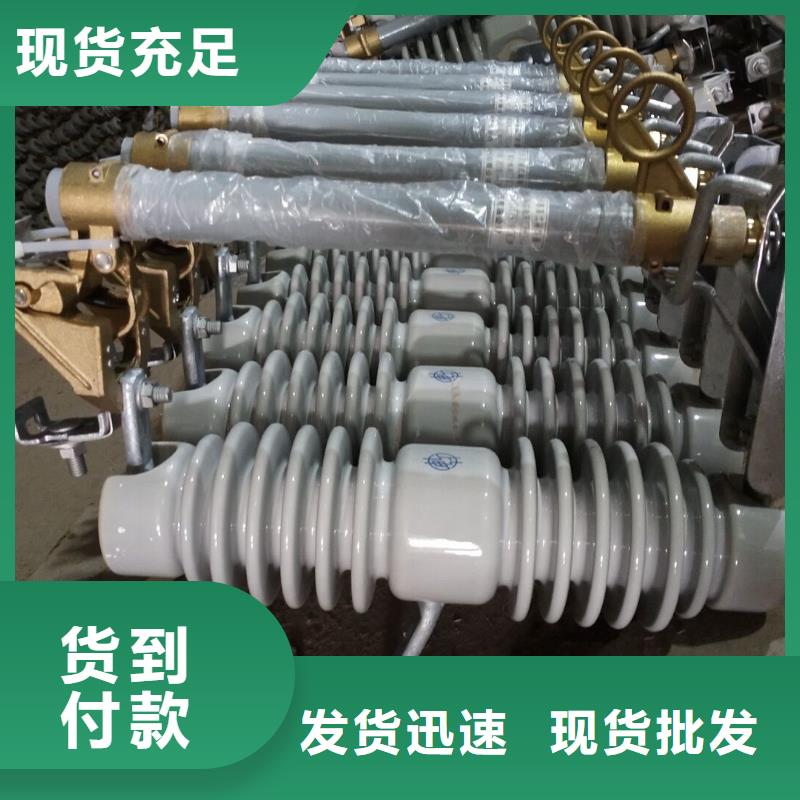 【羿振电气牌】【熔断器】交流熔断器,AC10kV,100A,跌落式,复合材料