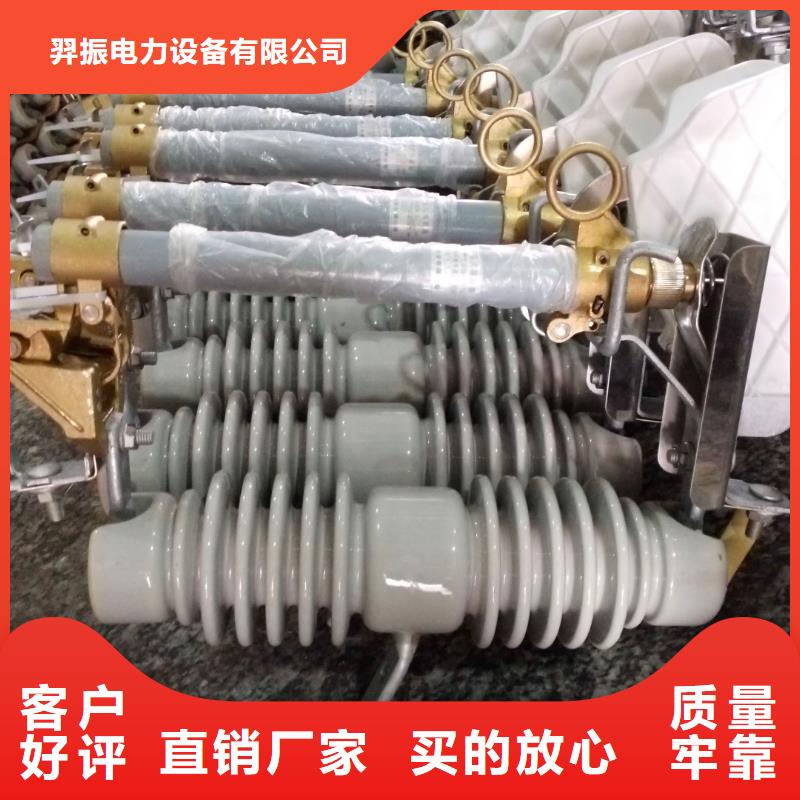 高压熔断器/HRW12-10KV/100A