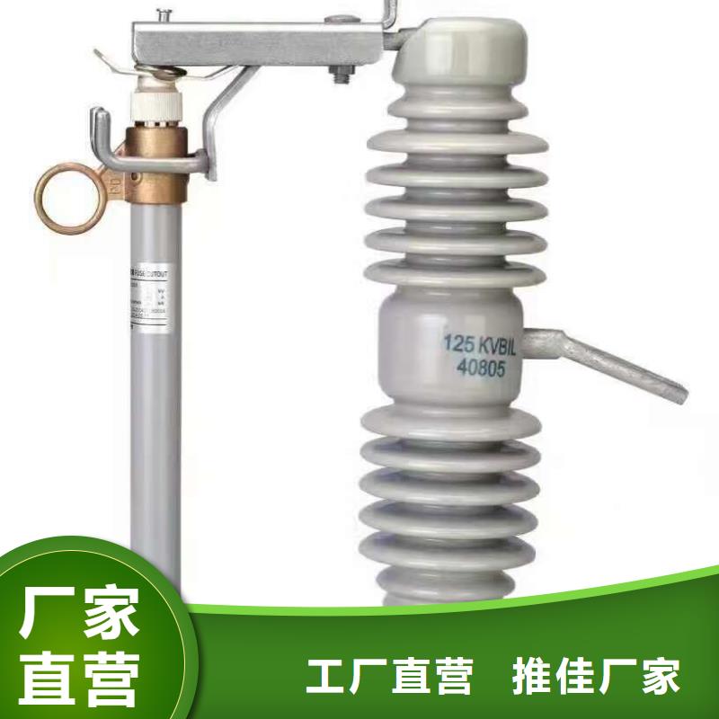 跌落式熔断器RW15-12KV/200