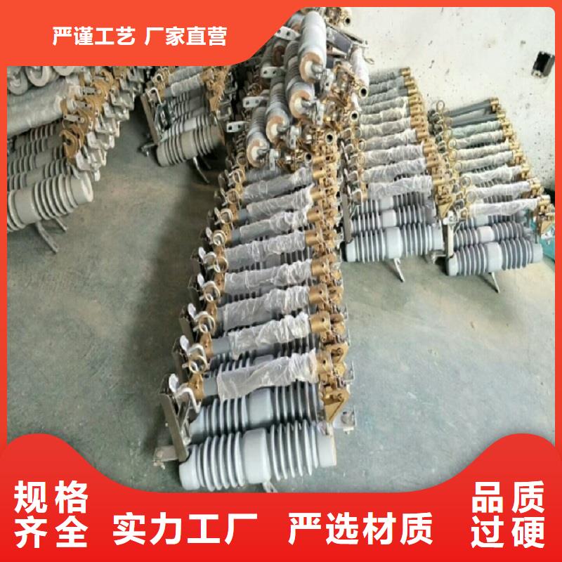 氧化锌避雷器Y10WZ-17/45推荐厂家浙江羿振电气有限公司