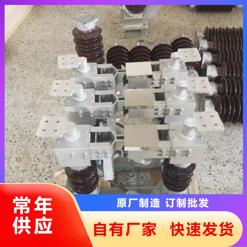 柱上断路器ZW32-12D