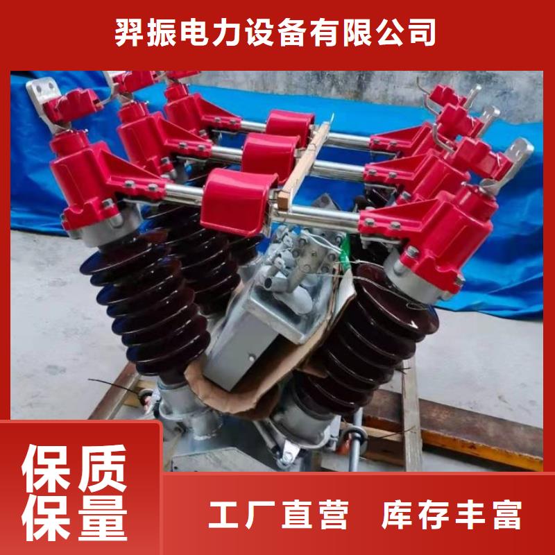 高压熔断器-HRW12-15KV/200【浙江羿振电气有限公司】