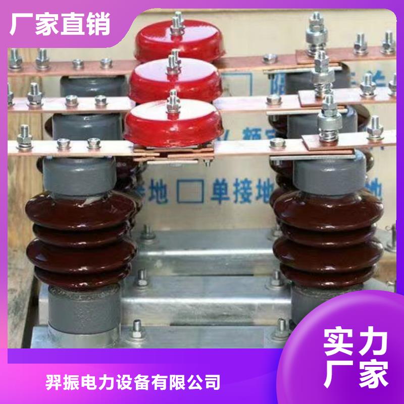 柱上断路器ZW32-12D