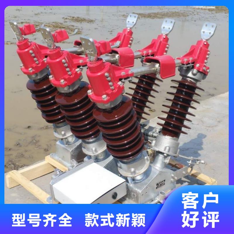 10KV單級隔離開關HGW9-10/630