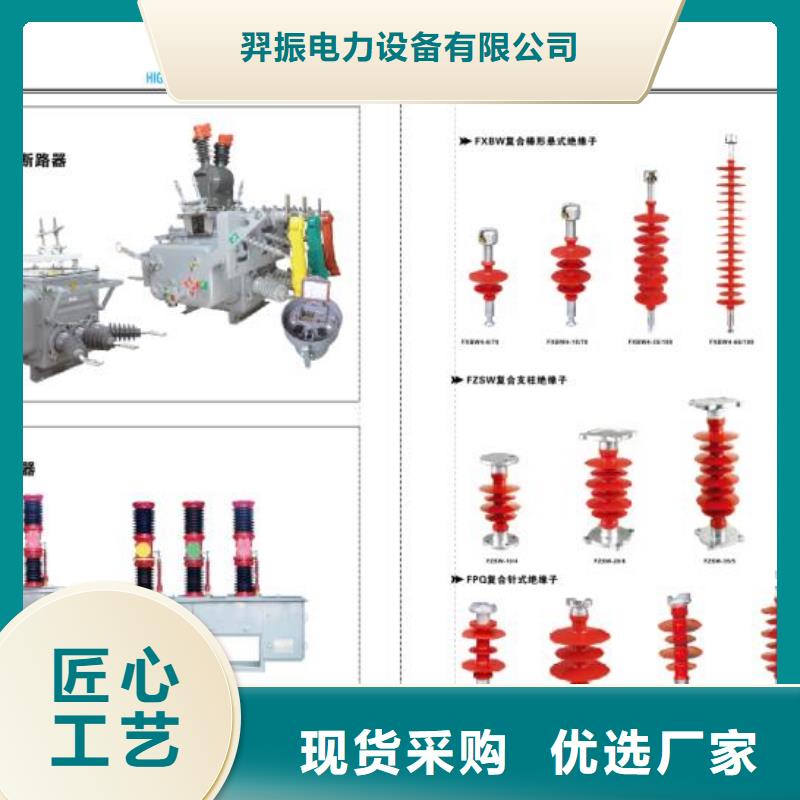ZSW-220/6-3：支柱绝缘子