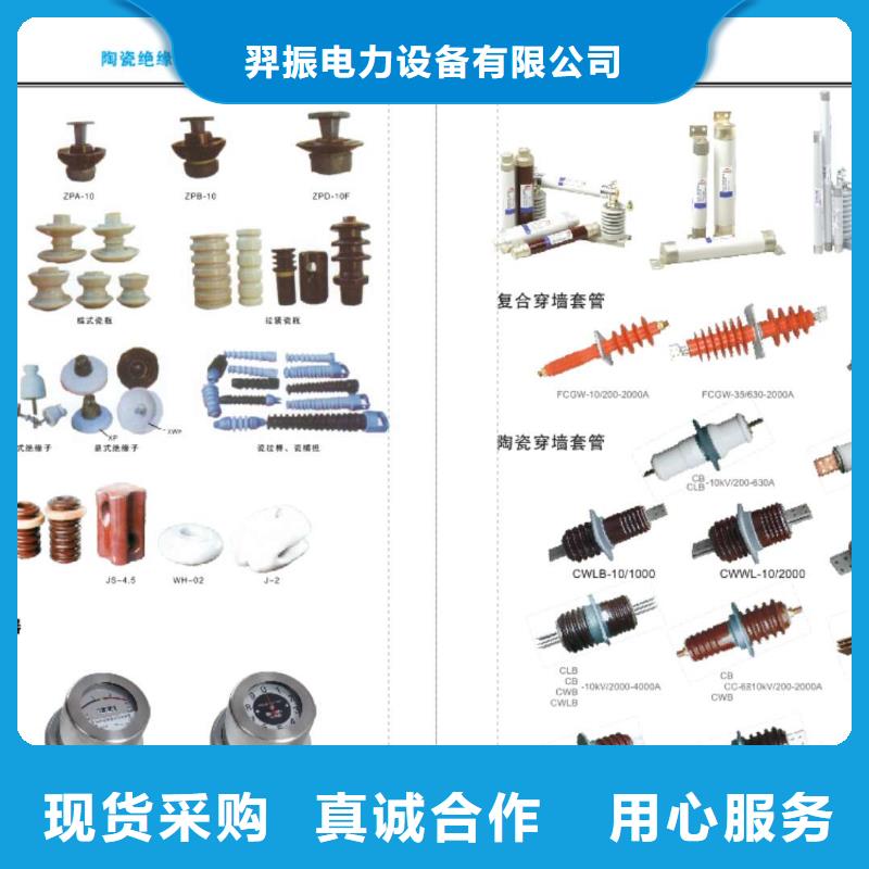ZW32F-12/630-25永磁＿不锈钢＿带外置电压互感器＿带控制器(综保)
