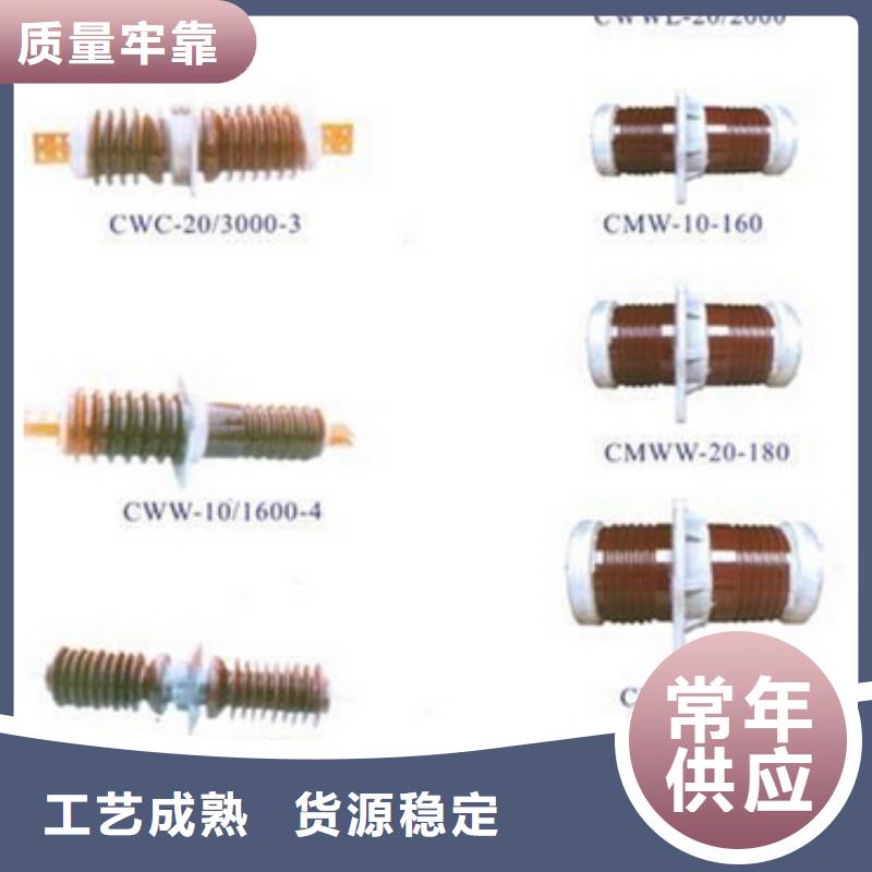ZSW2-35/4-4_支持絕緣子