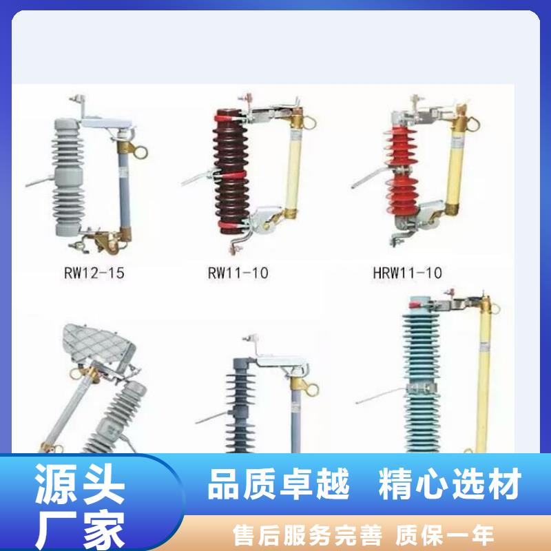 【羿振电气】真空断路器ZW32-12D/630