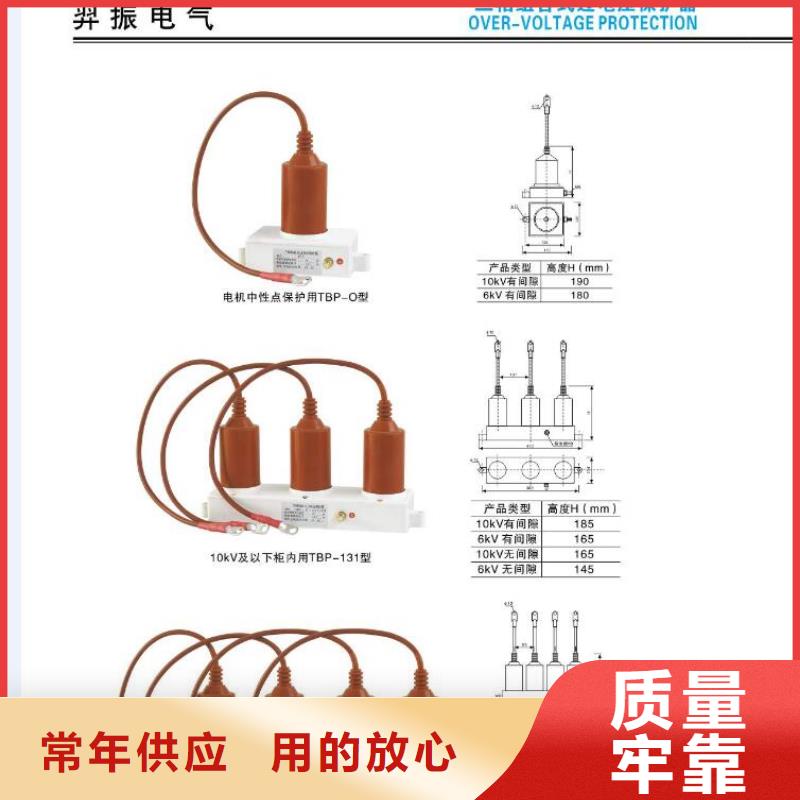 【金屬氧化物避雷器】YH5WR5-48/130-浙江羿振電氣有限公司