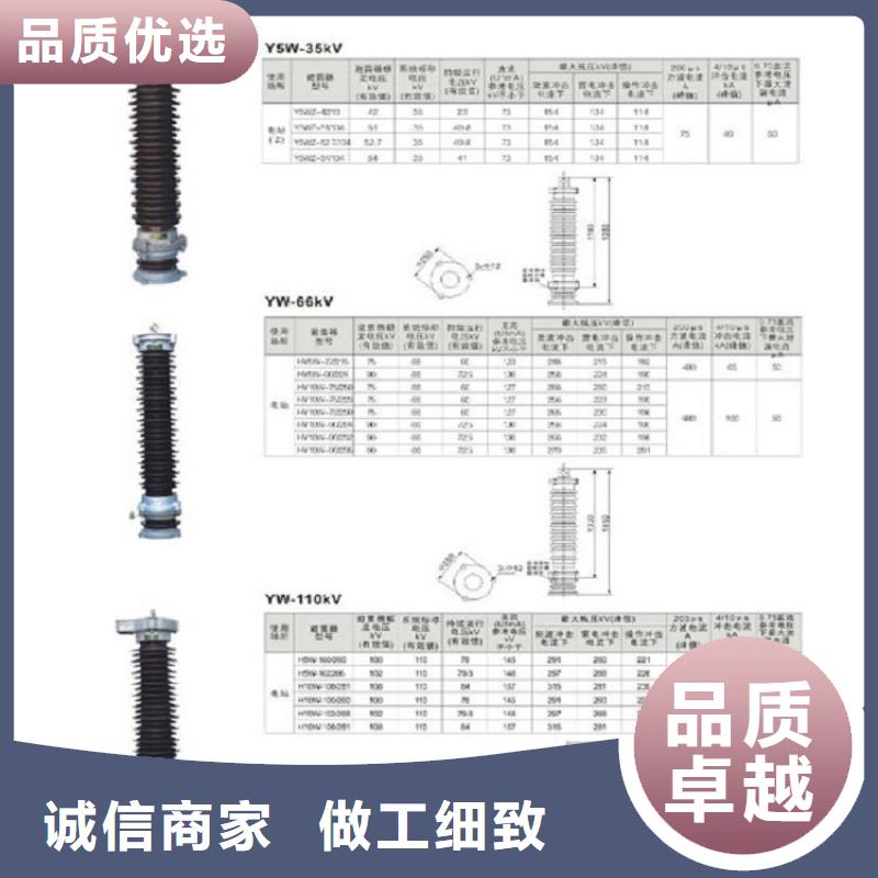 复合支柱绝缘子FZSW4-220/10